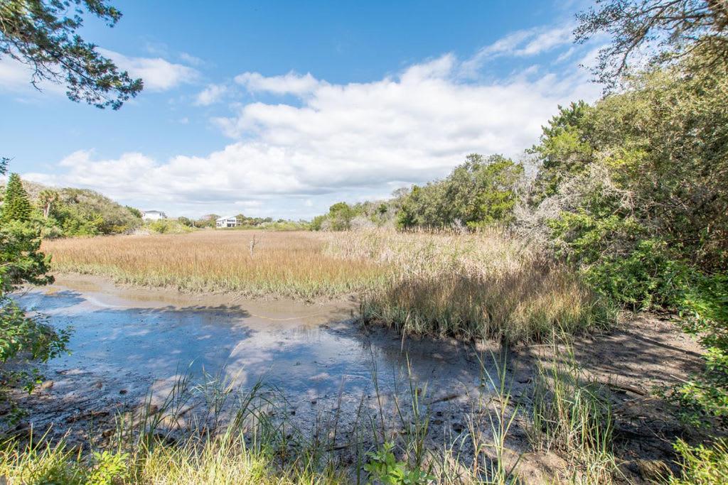 Marsh Front Birders Paradise Close To Beaches And Downtown St. Augustine Extérieur photo